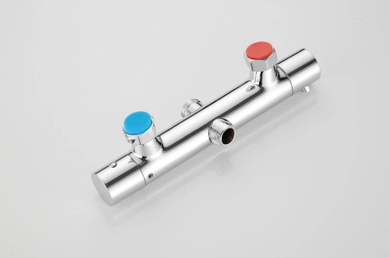 Dual-Function Thermostatic Shower System