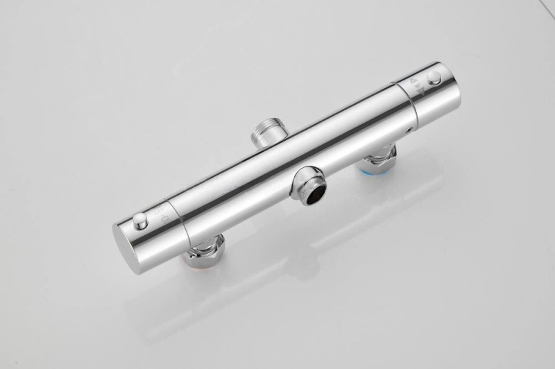 Dual-Function Thermostatic Shower System