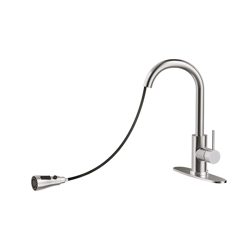 Kitchen Sink Faucet